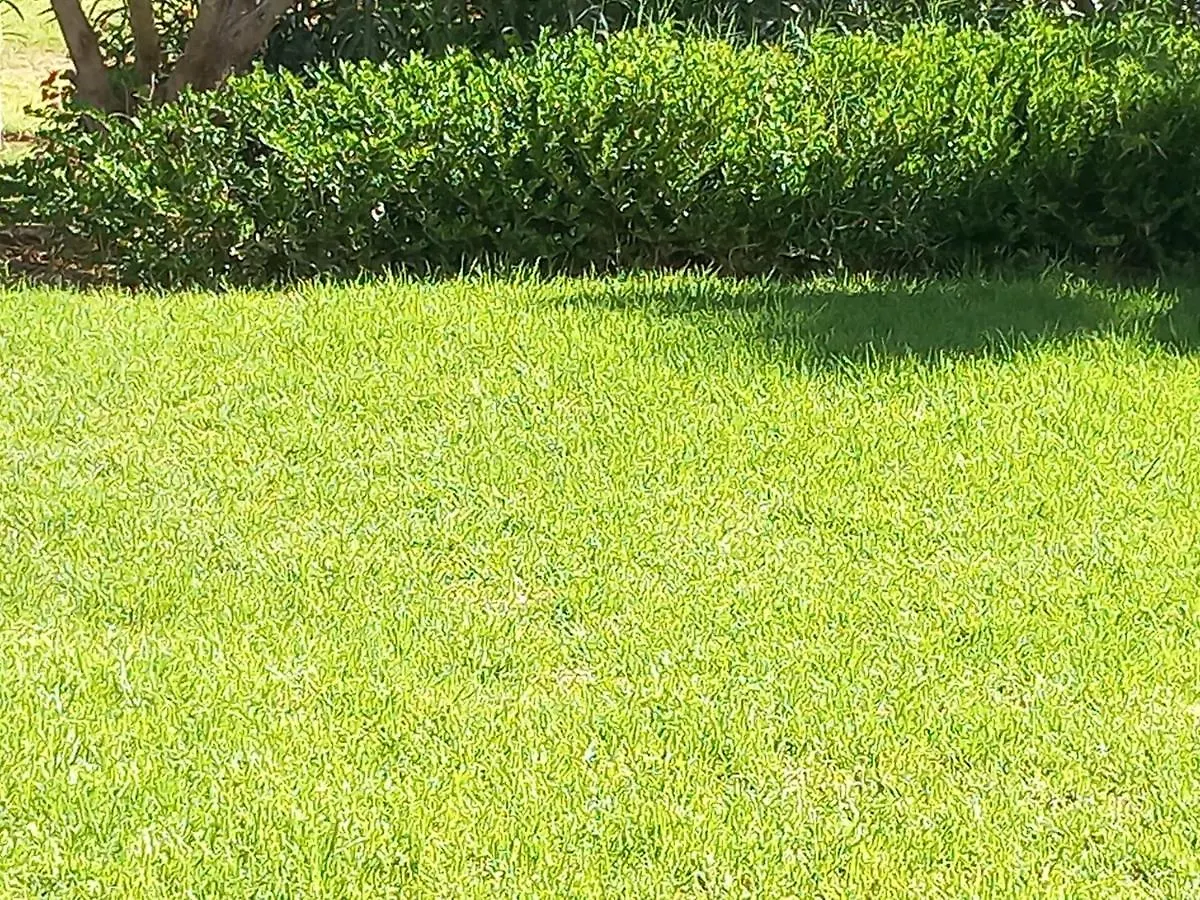 Superbe Appt Prestigia Sur Golf Rez De Jardin Apartment Marrakesh Morocco